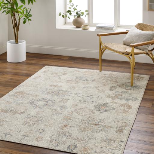 Surya Olympic PNWOL-2302 6'7" x 9' Rug