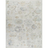 Surya Olympic PNWOL-2302 6'7" x 9' Rug