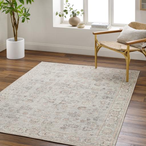 Surya Olympic PNWOL-2303 2'2" x 3'9" Rug