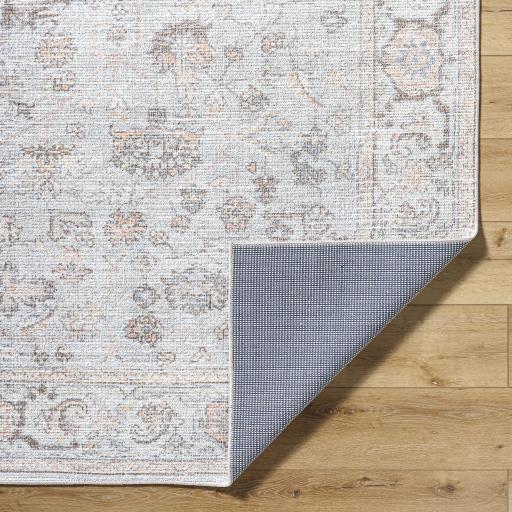 Surya Olympic PNWOL-2303 2'2" x 3'9" Rug