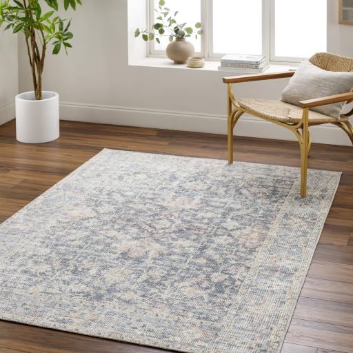 Surya Olympic PNWOL-2304 5'3" x 7' Rug