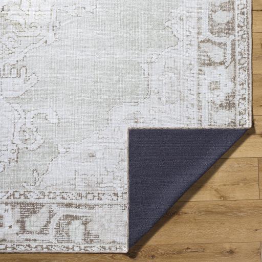 Surya Rainier PNWRN-2300 2'7" x 7'10" Rug