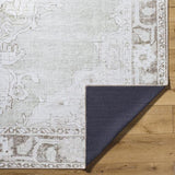 Surya Rainier PNWRN-2300 2'7" x 7'10" Rug