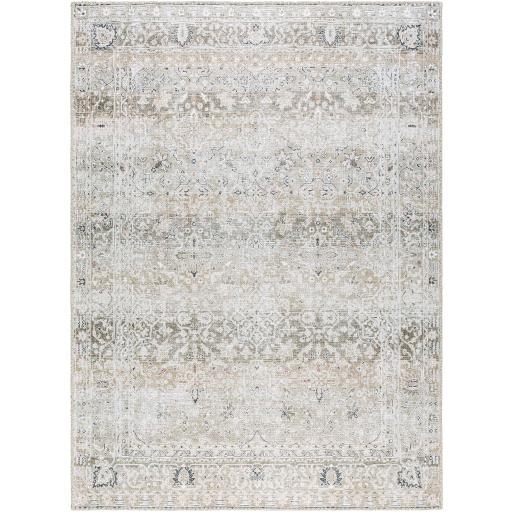 Surya Rainier PNWRN-2302 2'7" x 10' Rug