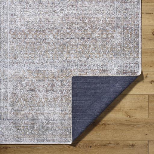Surya Rainier PNWRN-2303 2' x 2'11" Rug