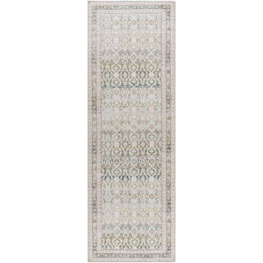 Surya Rainier PNWRN-2304 2' x 2'11" Rug
