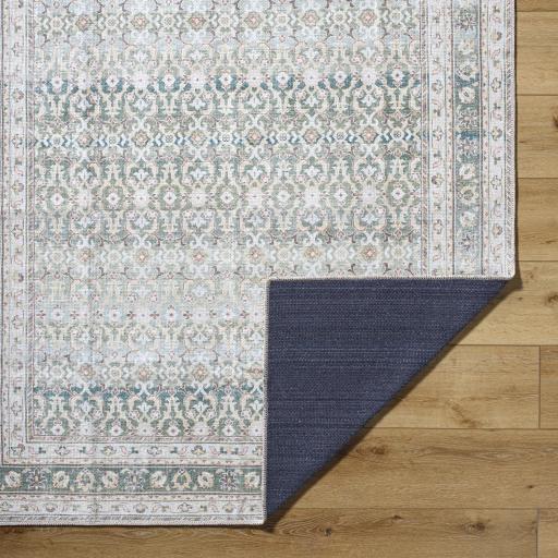 Surya Rainier PNWRN-2304 2'7" x 10' Rug