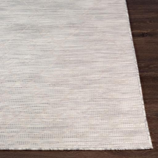 Surya Pasadena PSA-2364 2'6" x 4' Rug