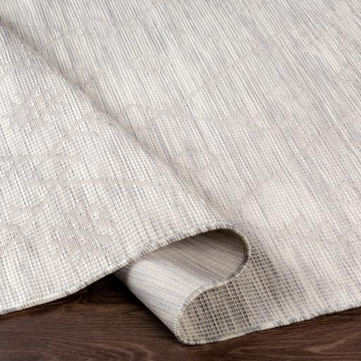 Surya Pasadena PSA-2364 2'6" x 4' Rug