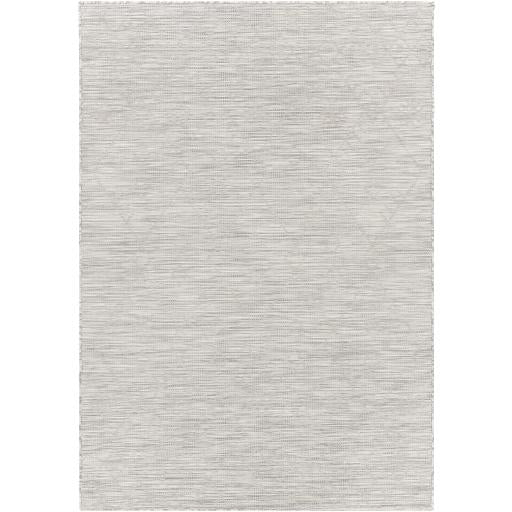 Surya Pasadena PSA-2364 2'6" x 4' Rug