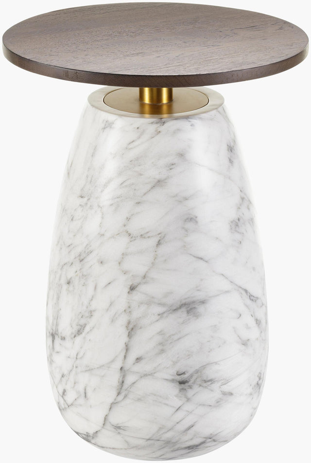 Surya Pupil PUP-002 25"H x 18"W x 18"D Accent Table