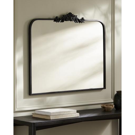Surya Aarlen RAL-002 29"H x 36"W x 2"D Mirror