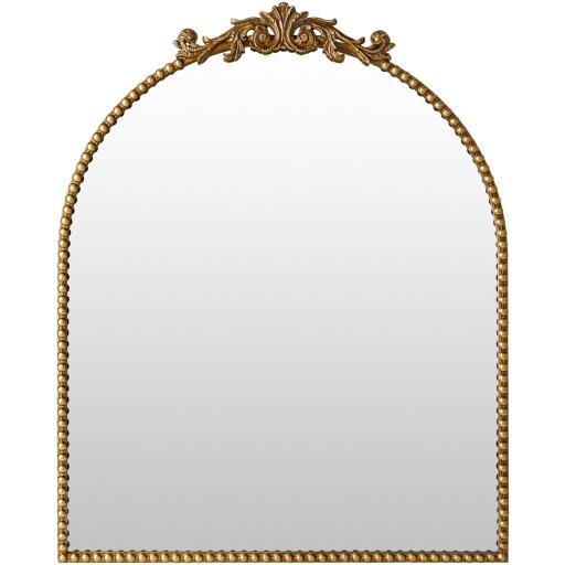 Surya Aarlen RAL-004 36"H x 24"W x 2"D Mirror