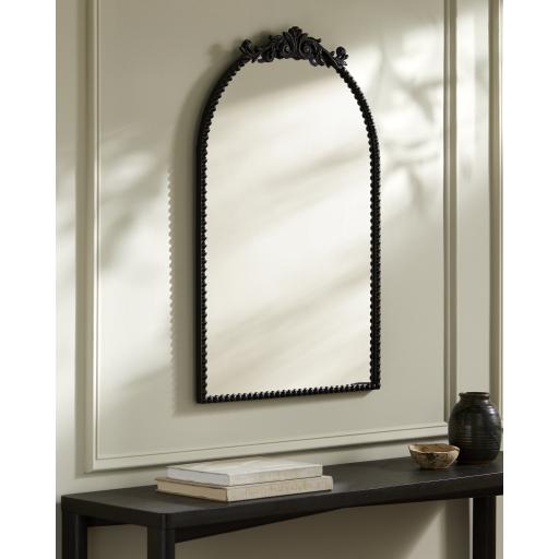Surya Aarlen RAL-005 30"H x 20"W x 2"D Mirror