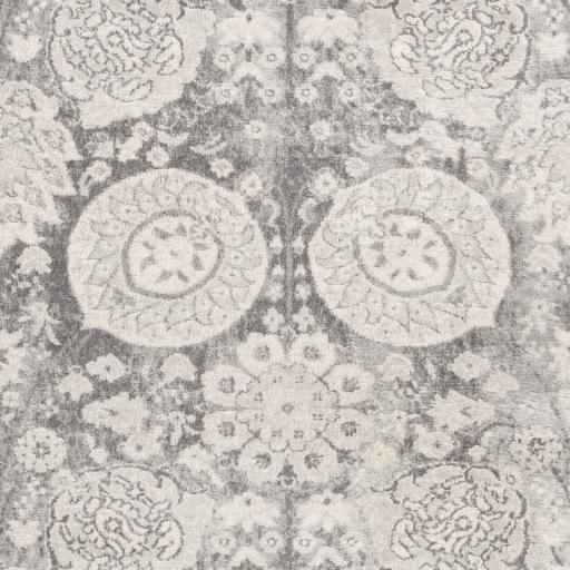 Surya Roma ROM-2311 5'3" x 7'1" Rug