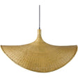 Surya Taiga TAG-001 24"L x 33"W x 87"H Ceiling Light