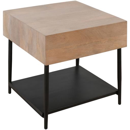 Surya Timo TIMO-003 23"H x 22"W x 22"D Furniture Piece