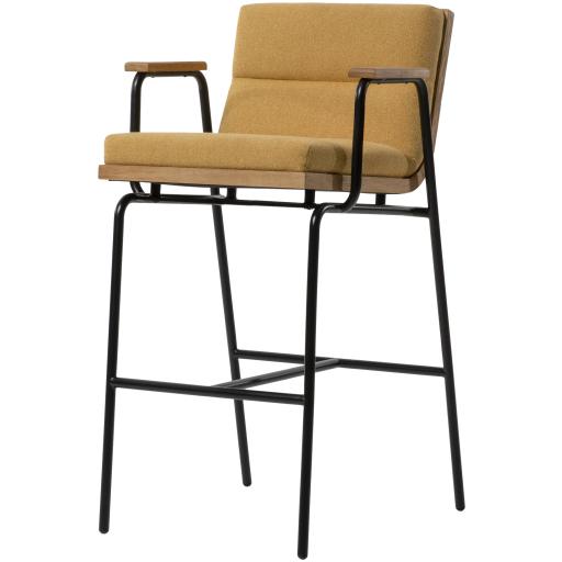 Surya Thomas TOM-002 41"H x 23"W x 25"D Furniture Piece