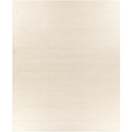 Surya Taraash TRH-2301 2' x 3' Rug