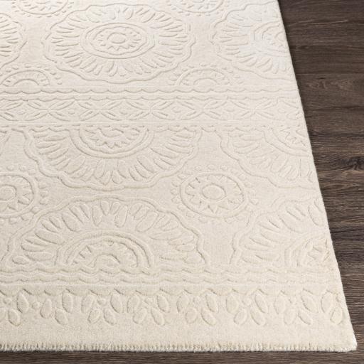 Surya Taraash TRH-2301 Beige Light Beige 2' x 3' Rug