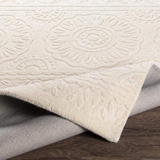 Surya Taraash TRH-2301 2' x 3' Rug