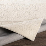 Surya Taraash TRH-2301 2' x 3' Rug