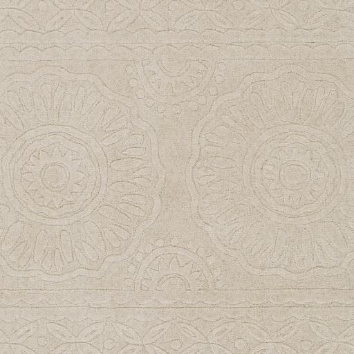 Surya Taraash TRH-2301 2' x 3' Rug