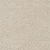 Surya Taraash TRH-2301 2' x 3' Rug