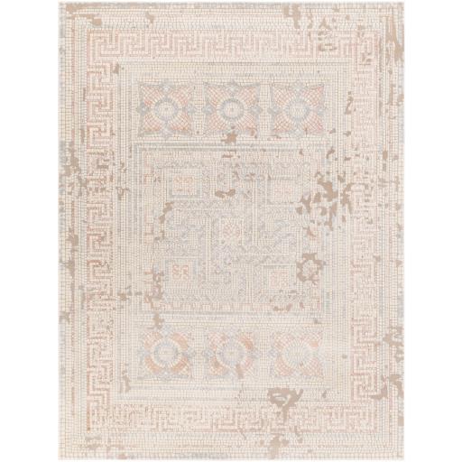 Surya Venezia VNZ-2303 1'11" x 2'11" Rug