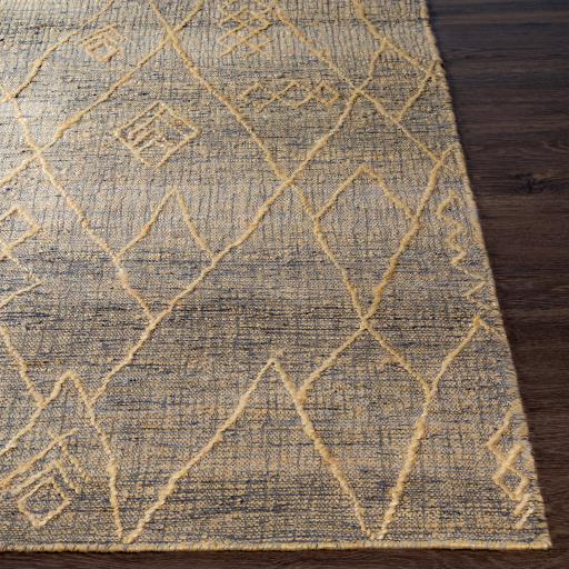 Surya Watford WTF-2302 2' x 3' Rug
