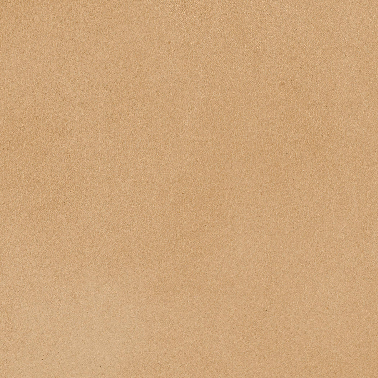 Jamie Young Alessa Leather Sling Chair, Cashew