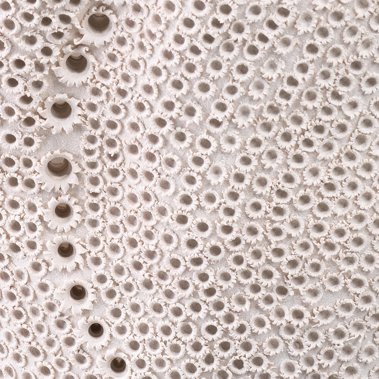 Jamie Young Eclipse Porcelain Decorative Vase, White