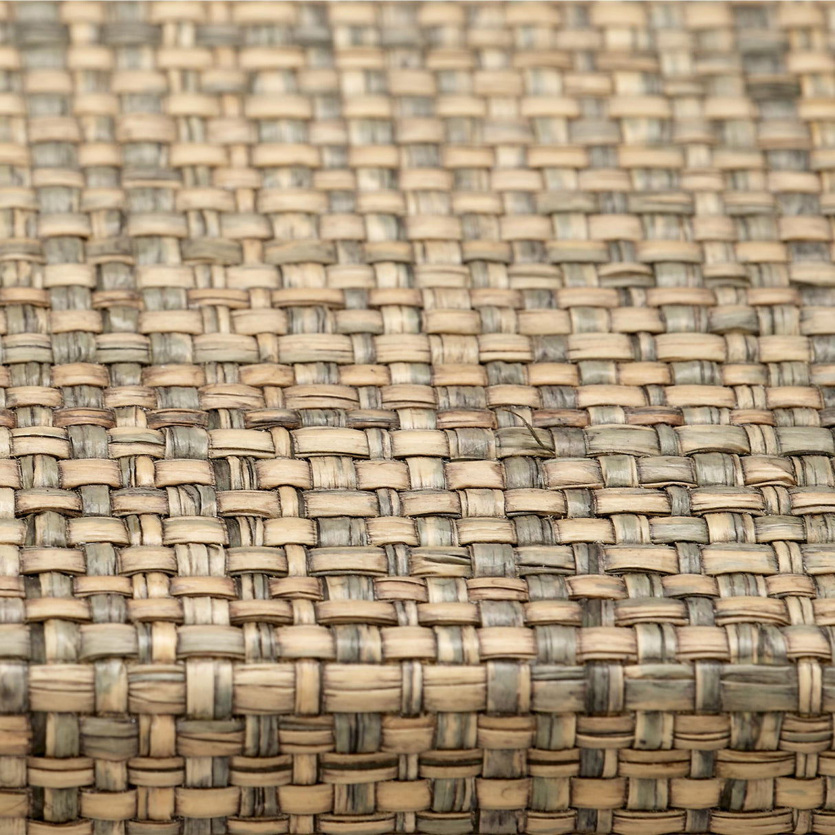 Jamie Young Paradise Bone Decorative Tray