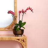 Jamie Young Relic Metal Large Footed Decorative Bowl