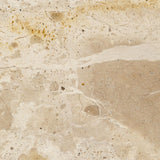 Jamie Young Soleil Marble Decorative Stand