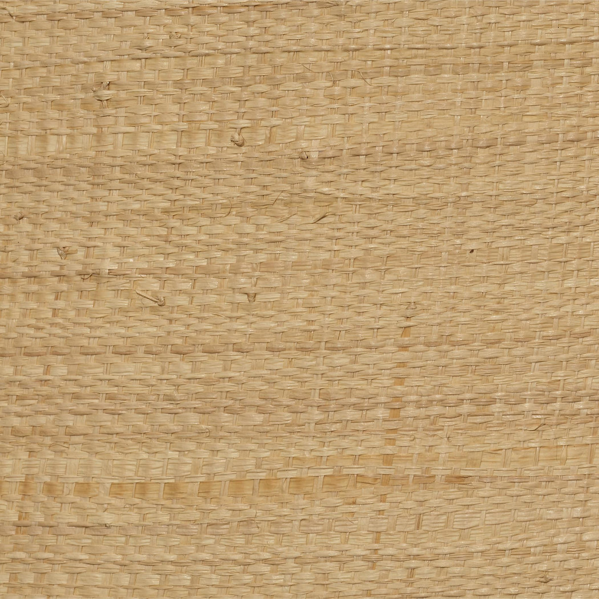 Jamie Young Utopia Raffia Table Lamp with Raffia Shade