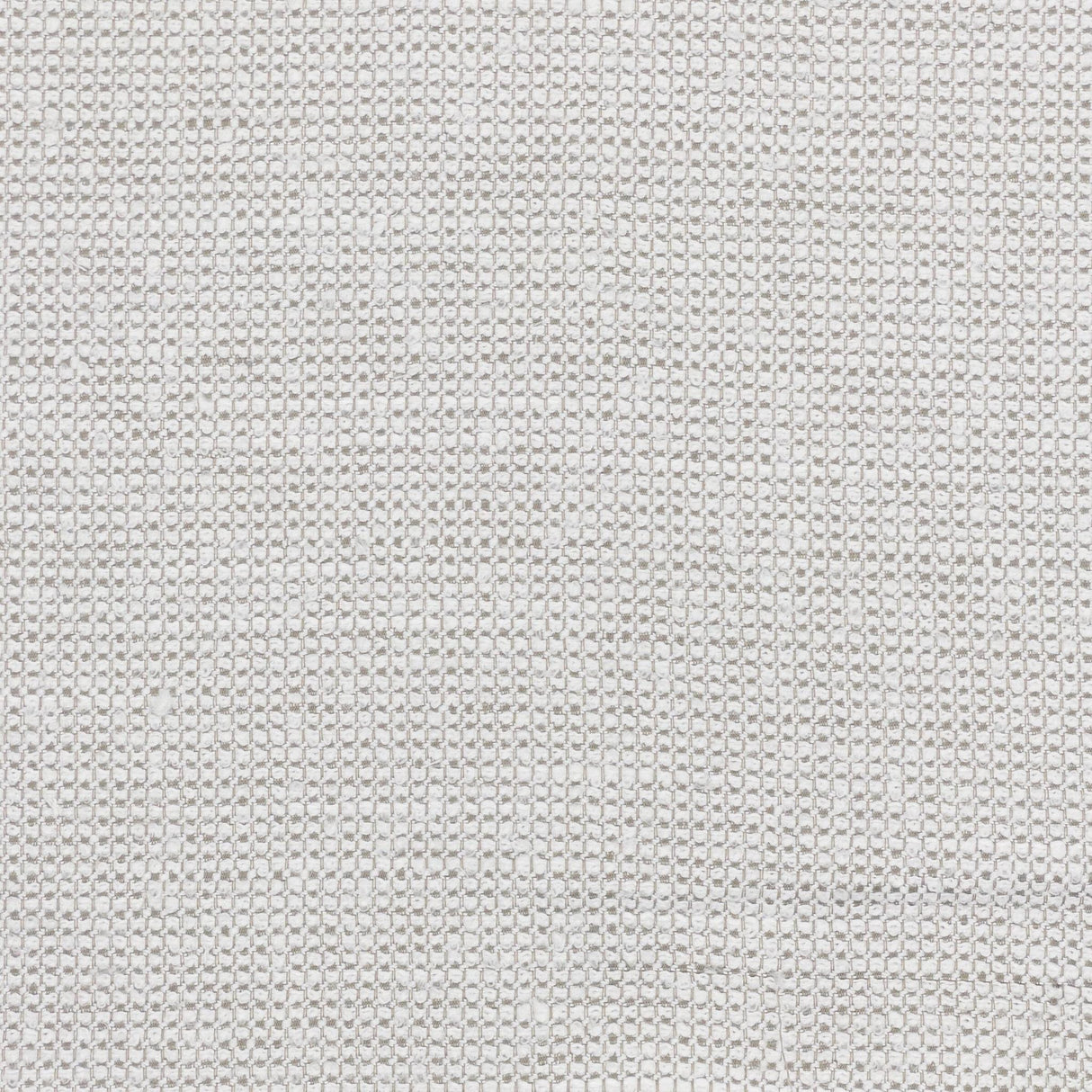 Stout BELLOWS DOVE Fabric