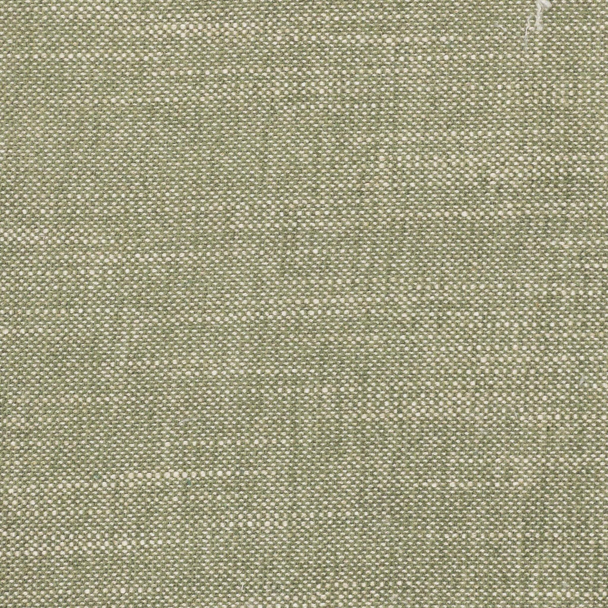 Stout BENTON AVOCADO Fabric