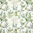 Stout BIRAN SPRING Fabric