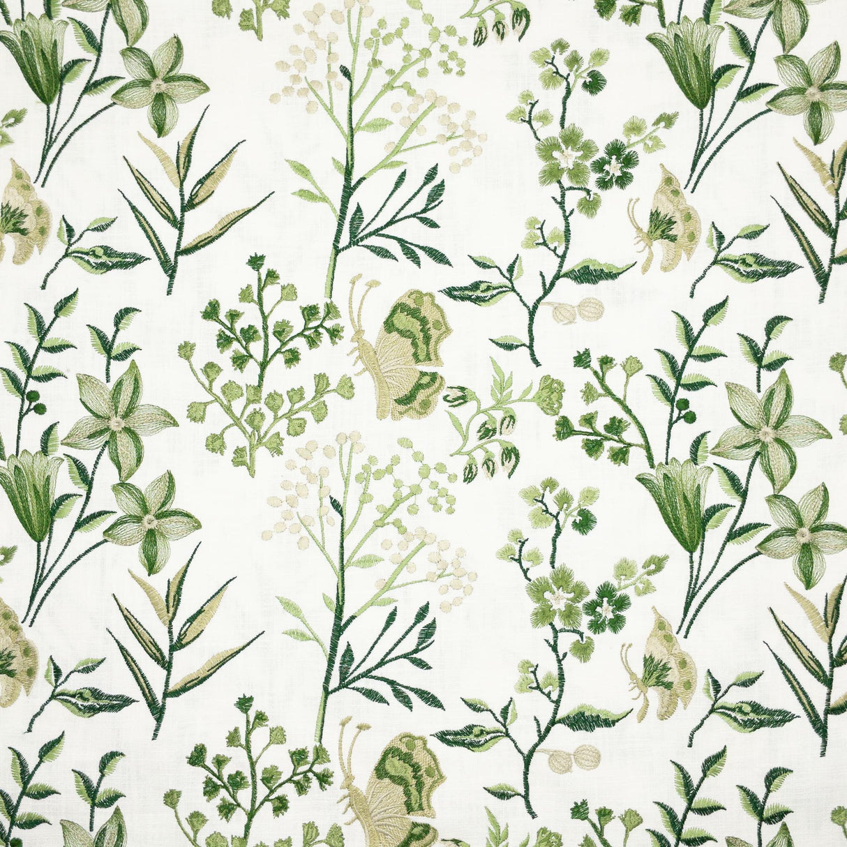 Stout BIRAN SPRING Fabric