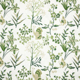 Stout BIRAN SPRING Fabric