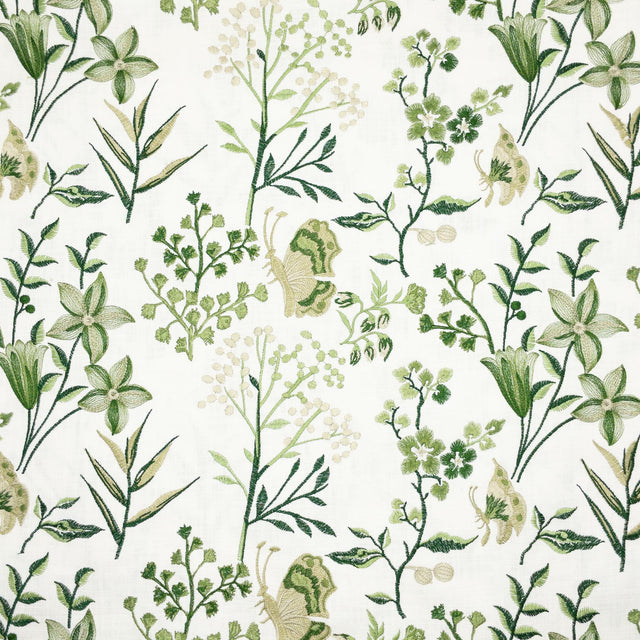 Stout BIRAN SPRING Fabric