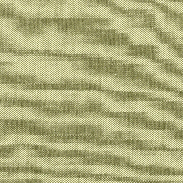 Stout BROMILEY APPLE Fabric