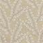 Stout CARIBE BRONZE Fabric