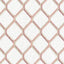 Stout CLEVELAND PRIMROSE Fabric