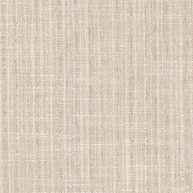 Stout CLONE CHAMPAGNE Fabric