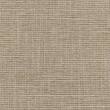 Stout CRATER RAFFIA Fabric