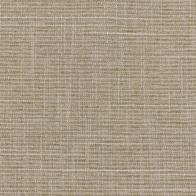 Stout CRATER RAFFIA Fabric
