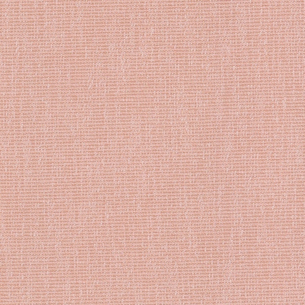 Stout CREDENCE SHRIMP Fabric
