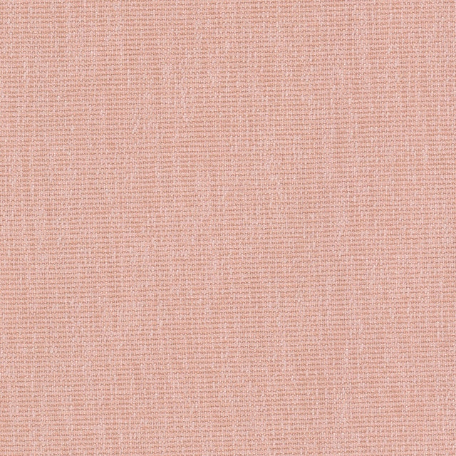 Stout CREDENCE SHRIMP Fabric